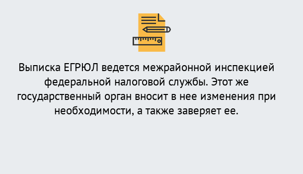 Почему нужно обратиться к нам? Радужный Выписка ЕГРЮЛ в Радужный ?