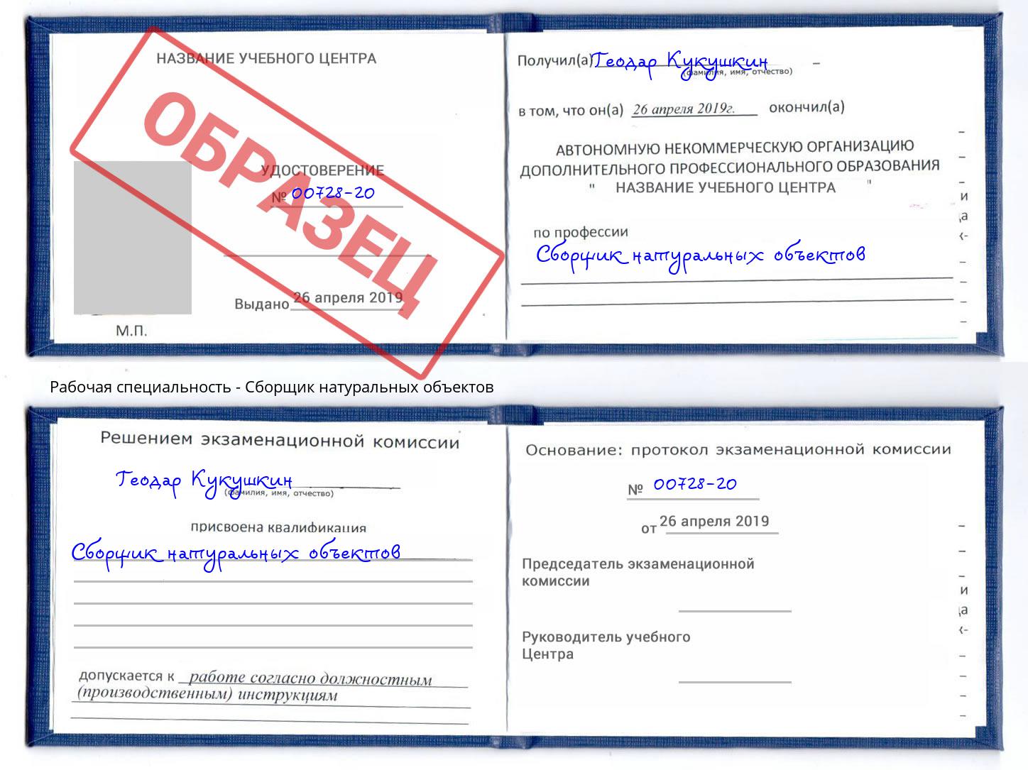 Сборщик натуральных объектов Радужный