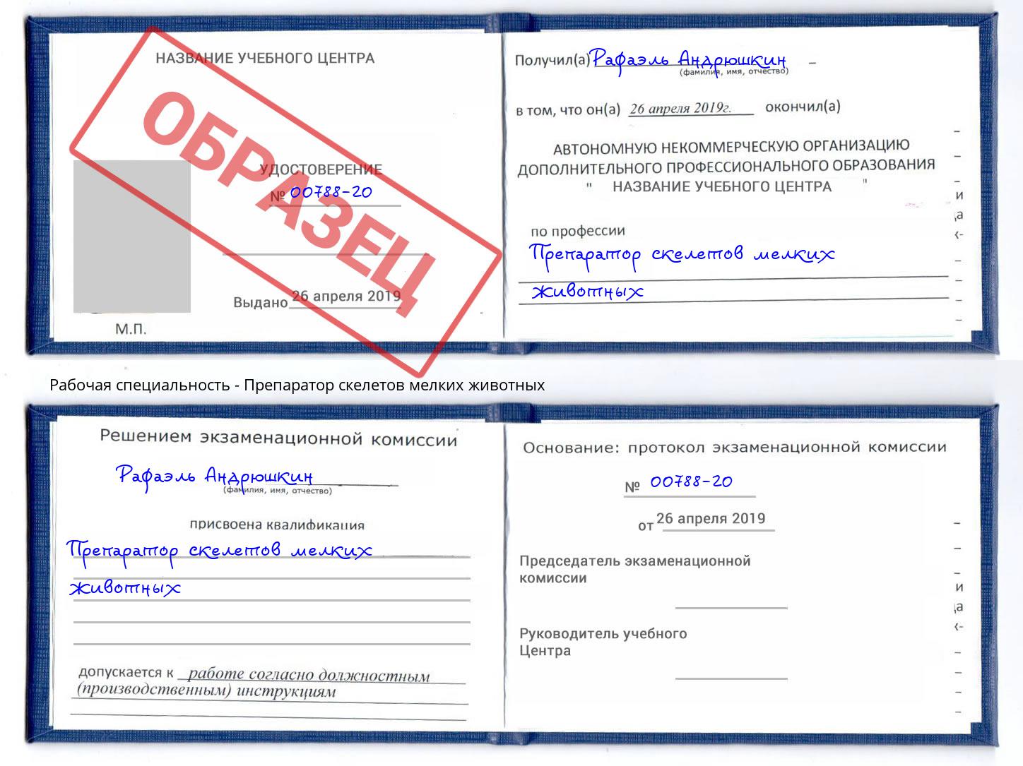 Препаратор скелетов мелких животных Радужный