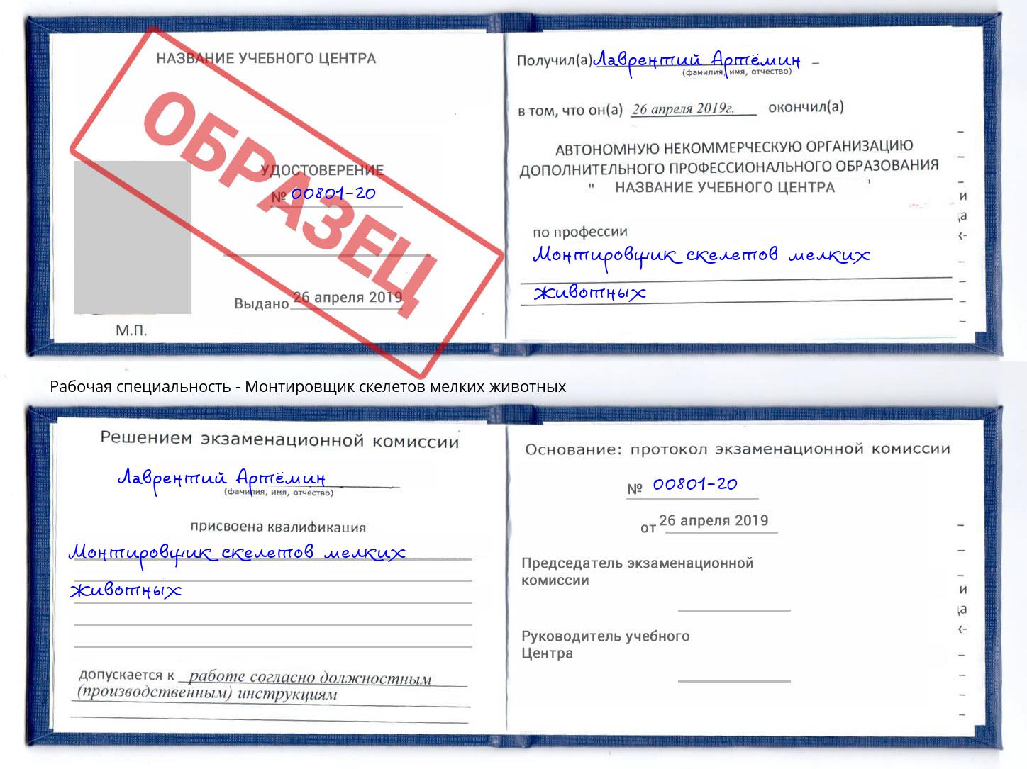 Монтировщик скелетов мелких животных Радужный