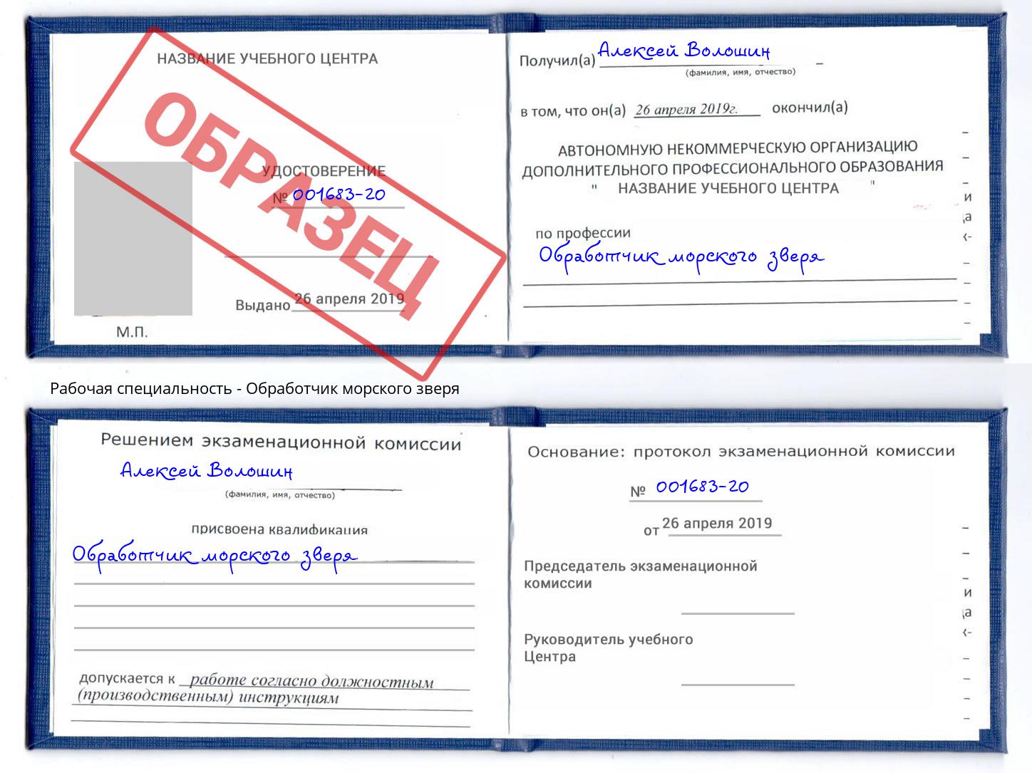 Обработчик морского зверя Радужный
