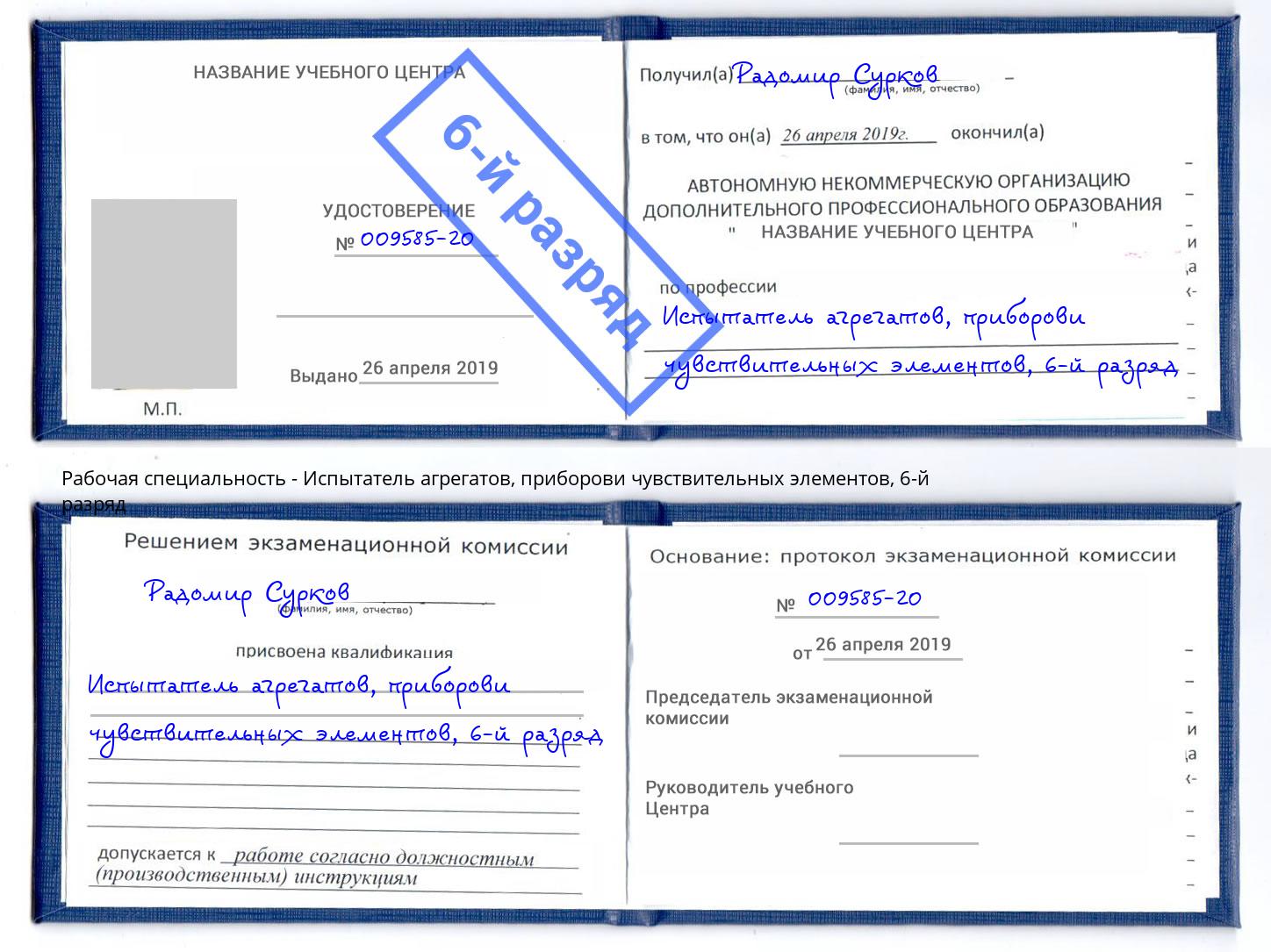 корочка 6-й разряд Испытатель агрегатов, приборови чувствительных элементов Радужный