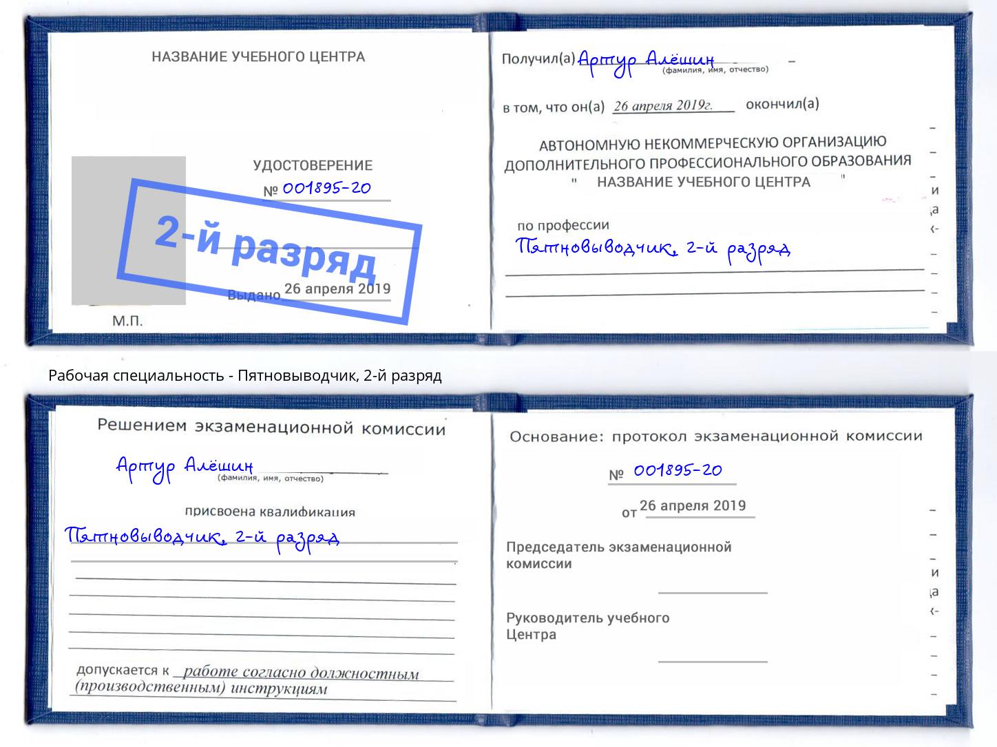 корочка 2-й разряд Пятновыводчик Радужный