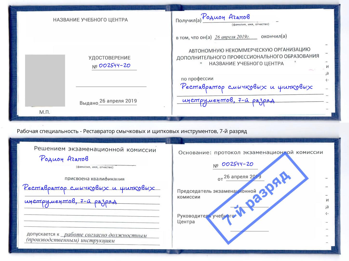 корочка 7-й разряд Реставратор смычковых и щипковых инструментов Радужный