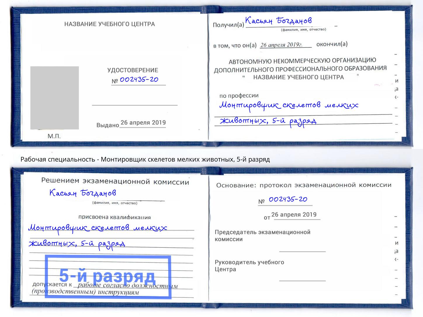 корочка 5-й разряд Монтировщик скелетов мелких животных Радужный