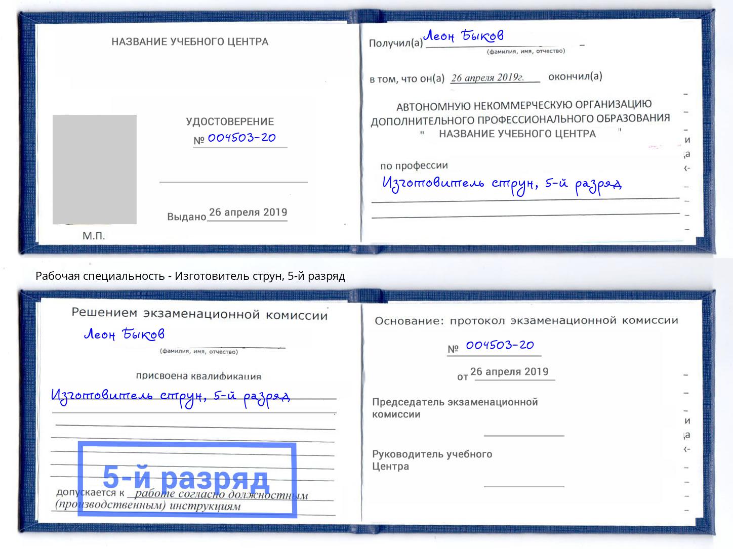 корочка 5-й разряд Изготовитель струн Радужный