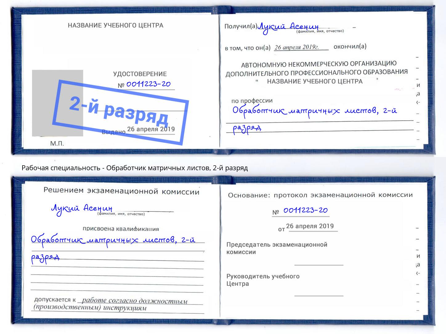 корочка 2-й разряд Обработчик матричных листов Радужный