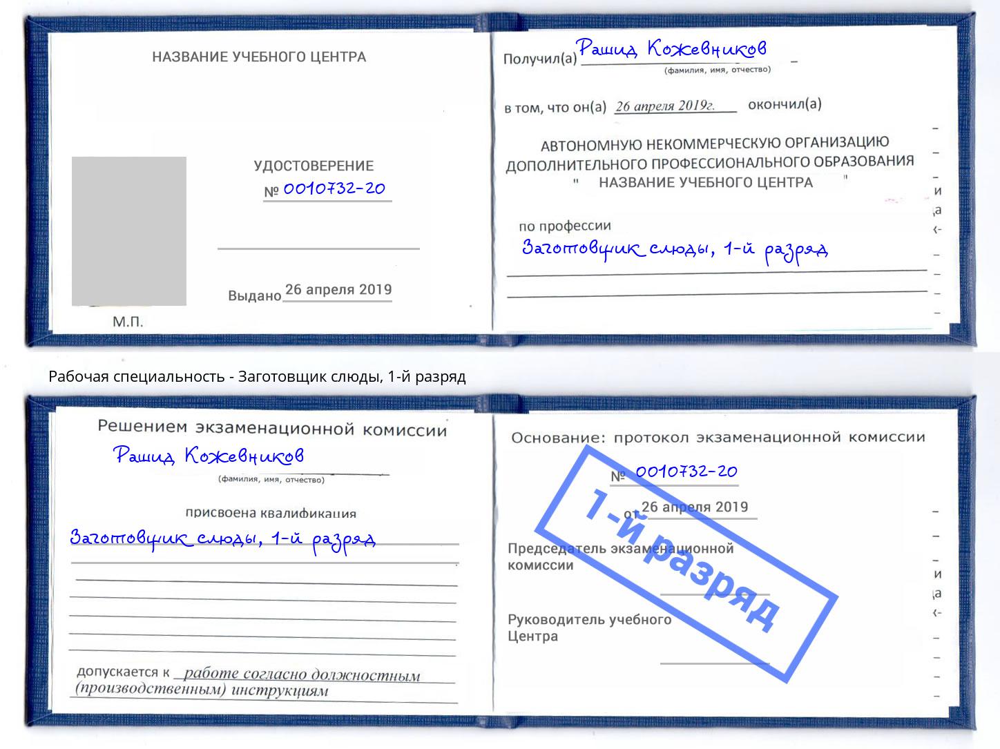 корочка 1-й разряд Заготовщик слюды Радужный
