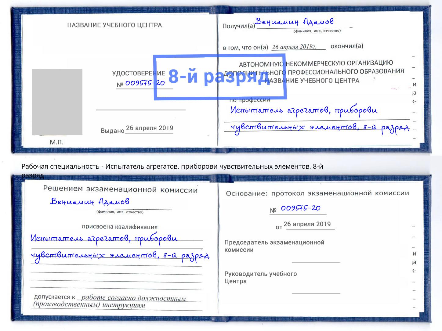 корочка 8-й разряд Испытатель агрегатов, приборови чувствительных элементов Радужный
